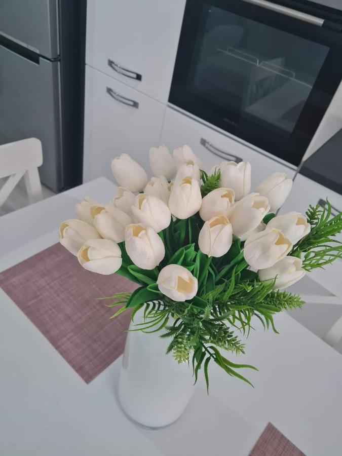 Sfintu Ilie Sweet Home المظهر الخارجي الصورة