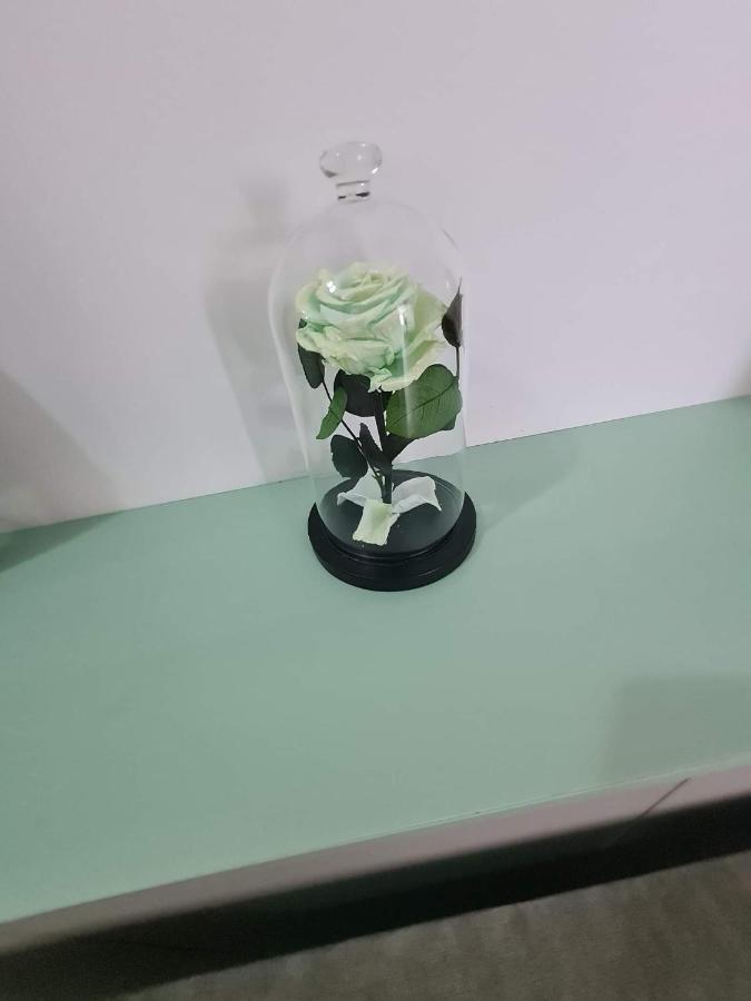 Sfintu Ilie Sweet Home المظهر الخارجي الصورة